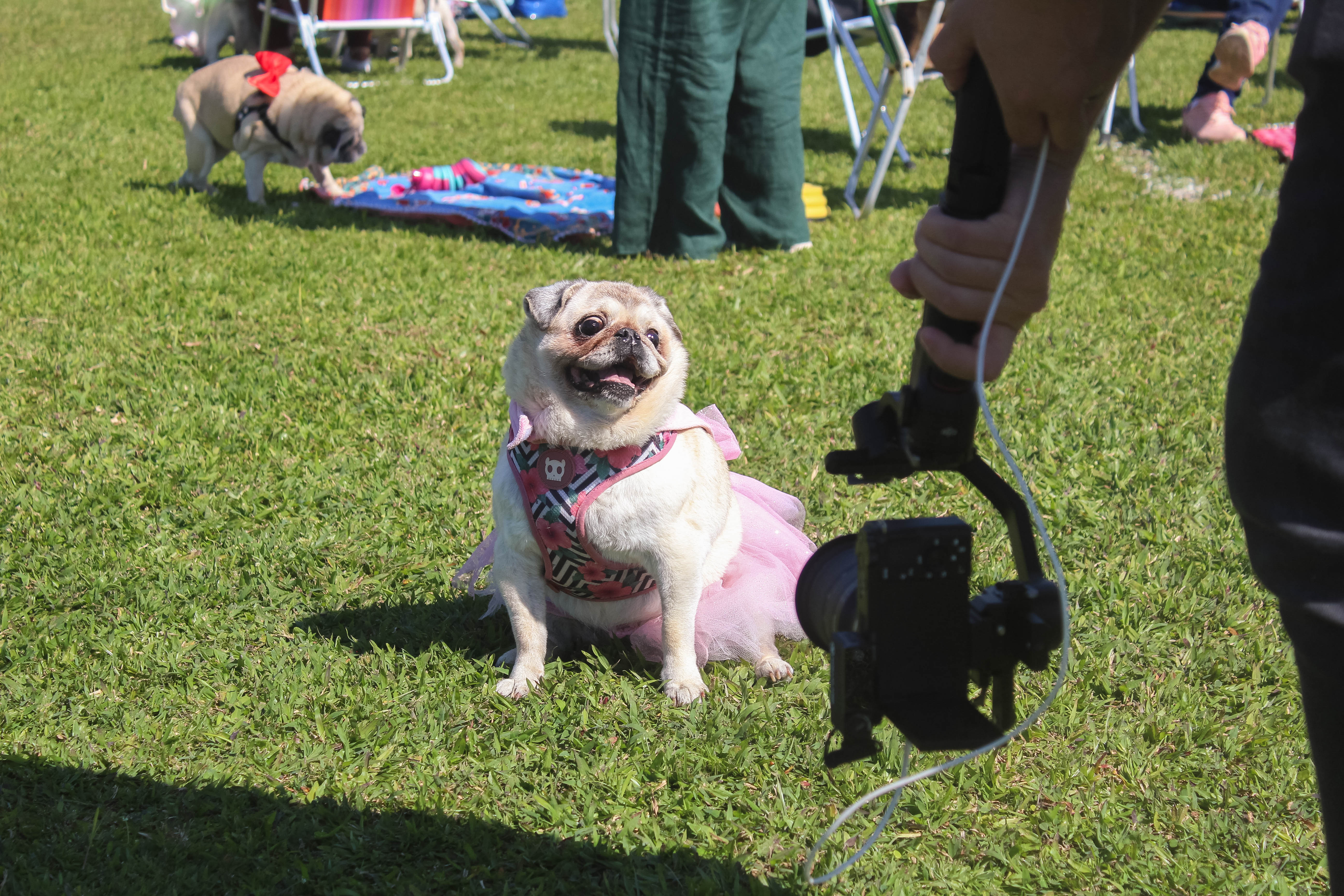 Foto do Pugnic 2025